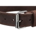 Collar para Perro Trixie Rustic Gris L/XL 57-66 cm