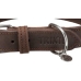 Hundhalsband Trixie Rustic Grå L/XL 57-66 cm