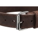 Collier pour Chien Trixie Rustic Gris M/L 42-48 cm