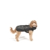 Hondenjas Dog Gone Smart Zwart 30 cm