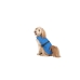 Impermeabile per Cani Dog Gone Smart Azzurro 30 cm