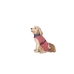 Impermeabile per Cani Dog Gone Smart Corallo 30 cm