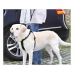 Guinzaglio per Cani Trixie Friends on Tour Nero 30 cm