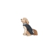 Imperméable pour Chien Dog Gone Smart Noir 60 cm