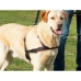 Hundesele Trixie Svart S/M