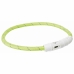 Collar LED para Mascotas Trixie Verde M/L