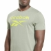 Camiseta Reebok Identity Big Logo Gris