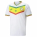 Camiseta de Fútbol Puma équipe de football du Senegal