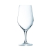 Set de pahare Chef & Sommelier Evidence Vin 6 Unități Transparent Sticlă 450 ml