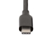 Cable USB-C Startech UCC-3M-10G-USB-CABLE Negro 3 m