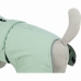 Dog raincoat Trixie Dublín Green XS 25 cm