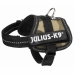 Arnês para Cães Julius K9 1 Baby 1 (XS)