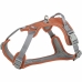 Imbracatura per Cani Trixie Active Arancio XS/S