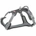 Pet Harness Trixie Active Black L/XL