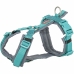 Arnês para Cães Trixie Premium Trekking Grafite Azul Claro S