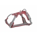 Dog Harness Trixie Active Red M