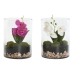 Decoratieve plant Home ESPRIT PVC Kristal 15 x 15 x 20 cm (2 Stuks)