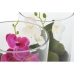 Plante décorative Home ESPRIT PVC Verre 15 x 15 x 20 cm (2 Unités)