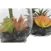 Decoratieve plant Home ESPRIT PVC Kristal 10 x 10 x 15 cm (2 Stuks)