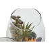 Plante décorative Home ESPRIT PVC Verre 10 x 10 x 15 cm (2 Unités)