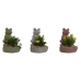 Decoratieve plant Home ESPRIT Polyethyleen Cement Kikker 9 x 9 x 13 cm (3 Stuks)