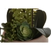 Decoratieve plant Home ESPRIT Polyethyleen Papier-maché 40 X 35 X 52 cm (2 Stuks)