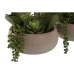 Decoratieve plant Home ESPRIT Polyethyleen Papier-maché 40 X 35 X 52 cm (2 Stuks)