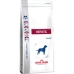 Fodder Royal Canin Hepatic 12 kg