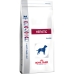 Fodder Royal Canin Hepatic 12 kg