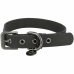 Collier pour Chien Trixie Noir XS/S 25-32 cm