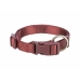 Collier pour Chien Trixie Premium Rouge XXS/XS 15-25 cm