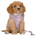 Hundesele Trixie Junior Syren M/L