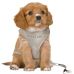 Dog Harness Trixie Junior Light grey M/L