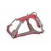 Dog Harness Trixie Active Premium Red XS/S