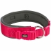 Collier pour Chien Trixie Premium Graphite Fuchsia S/M 33-42 cm