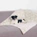 Couverture pour animaux de compagnie Trixie Kenny Beige Polyester 100 × 75 CM