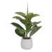 Dekorativ Plante Grønn PVC Tammi 58 cm