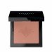 Eyeshadow Stendhal Highlighter Nº 302 (5,5 g)