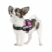 Arnés para Perro Trixie Fucsia 1 Baby 1 (XS) 26-36 cm