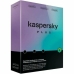 Software de Gestão Kaspersky