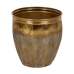 Planter Golden Iron (3 Units)