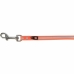 Tracking leash Trixie Easy Life Orange XL M/XL