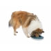 Voerbak voor honden Trixie Slow Feeding Blauw Grijs Natuurlijk rubber Plastic TPR Ø 23 cm 500 ml