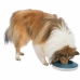 Voerbak voor honden Trixie Slow Feeding Blauw Grijs Natuurlijk rubber Plastic TPR Ø 23 cm 500 ml