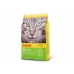 Cat food Josera SensiCat Chicken 10 kg