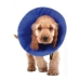 Collare elisabettiano per cani KVP EZ Soft Azzurro (14-31 cm)