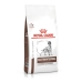 Foder Royal Canin Gastrointestinal Moderate Calorie VHN Vuxen Fåglar 2 Kg