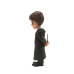 Collectable Figures Minix Harry Potter