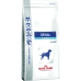 Foder Royal Canin Renal Special Voksen Ris Fugle 2 Kg