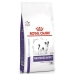 Фураж Royal Canin Neutered Adult Small VHN Для взрослых Кукуруза птицы Хряк 3,5 g